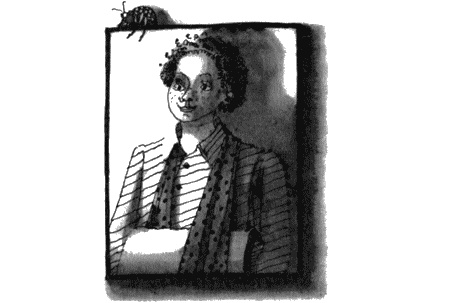 Иллюстрация к книге — Выдуманный жучок [img19.jpg]