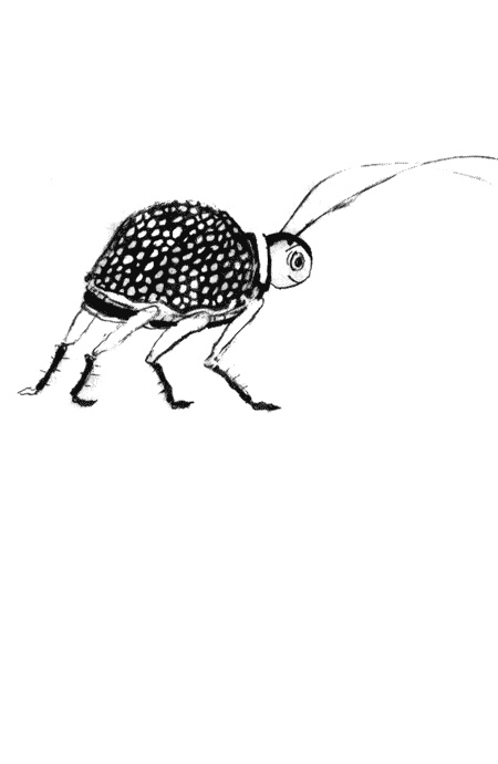 Иллюстрация к книге — Выдуманный жучок [img21.jpg]