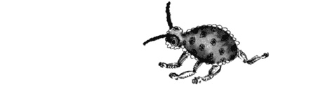 Иллюстрация к книге — Выдуманный жучок [img49.jpg]