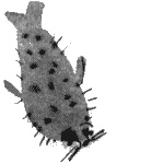 Иллюстрация к книге — Помощница ангела [img10.jpg]