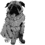 Иллюстрация к книге — Помощница ангела [img16.jpg]