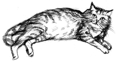 Иллюстрация к книге — Белый пудель [i_017.jpg]