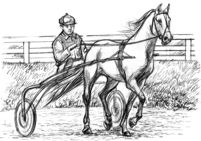 Иллюстрация к книге — Белый пудель [i_036.jpg]