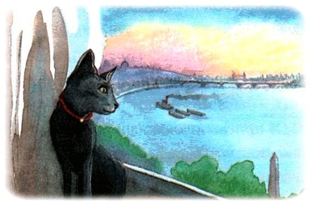 Иллюстрация к книге — Каспар, принц котов [img12.jpg]