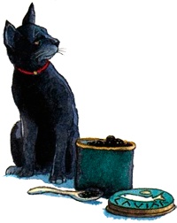 Иллюстрация к книге — Каспар, принц котов [img24.jpg]