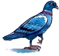 Иллюстрация к книге — Каспар, принц котов [img38.jpg]