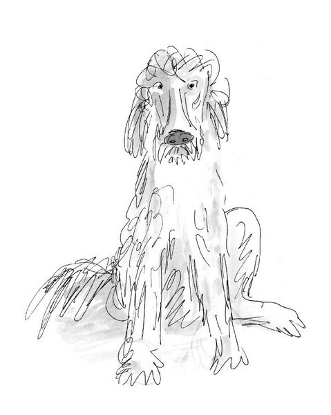 Иллюстрация к книге — Загогулина [i_005.jpg]