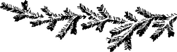 Иллюстрация к книге — Партизанка Лара [i_003.jpg]