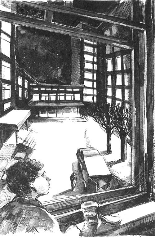 Иллюстрация к книге — Мандариновые острова [i_015.jpg]