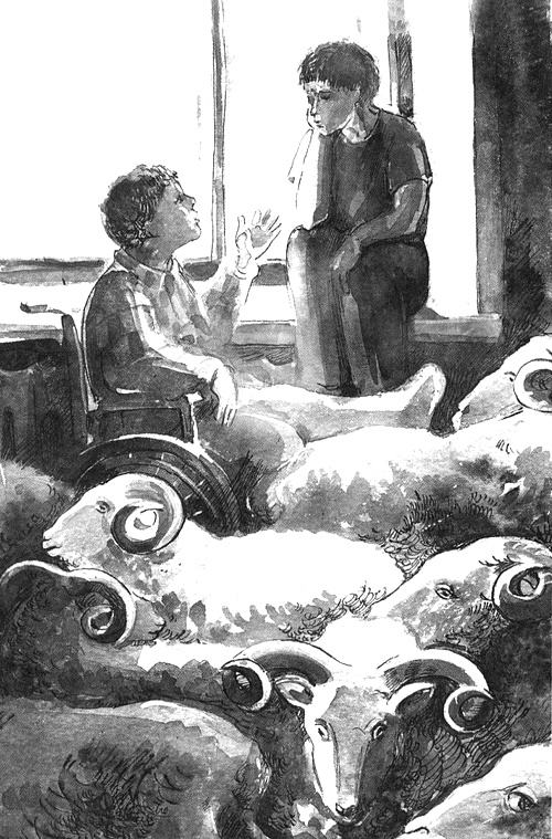 Иллюстрация к книге — Мандариновые острова [i_017.jpg]