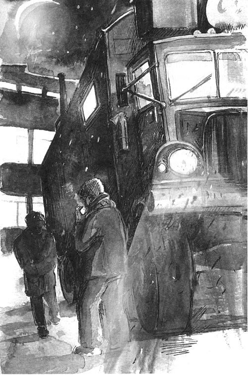 Иллюстрация к книге — Мандариновые острова [i_021.jpg]