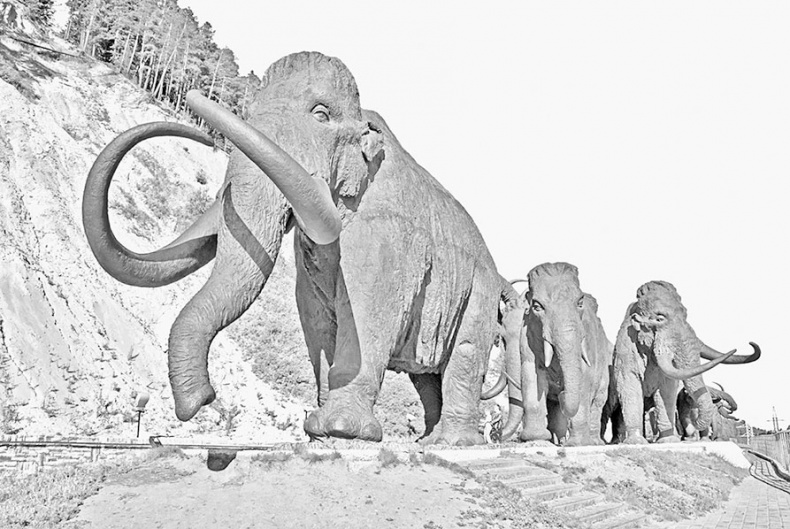 Иллюстрация к книге — Дебри [i_067.jpg]