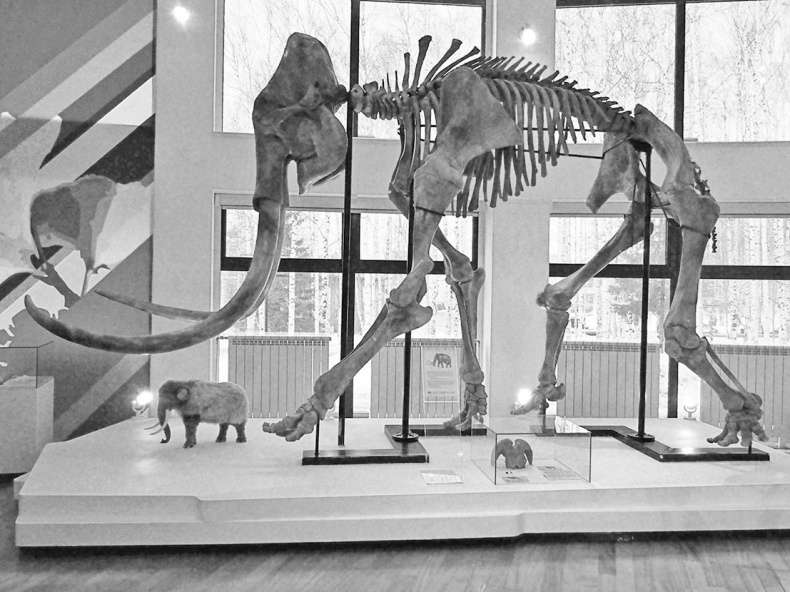 Иллюстрация к книге — Дебри [i_068.jpg]