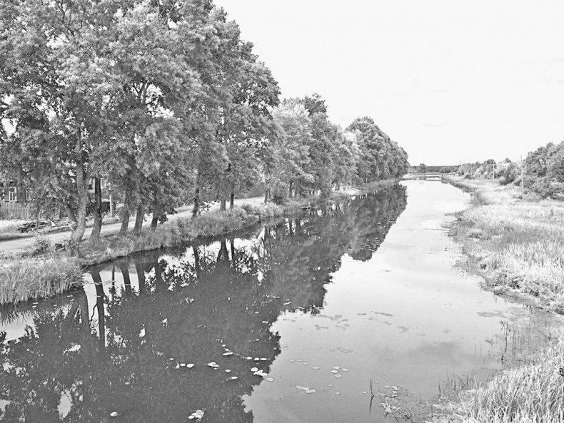 Иллюстрация к книге — Дебри [i_070.jpg]