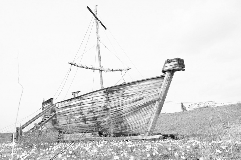 Иллюстрация к книге — Дебри [i_071.jpg]