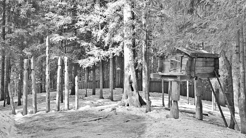 Иллюстрация к книге — Дебри [i_077.jpg]