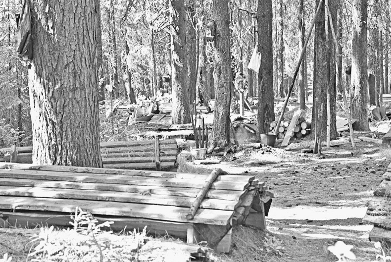 Иллюстрация к книге — Дебри [i_083.jpg]