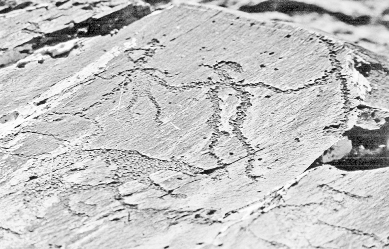 Иллюстрация к книге — Дебри [i_096.jpg]