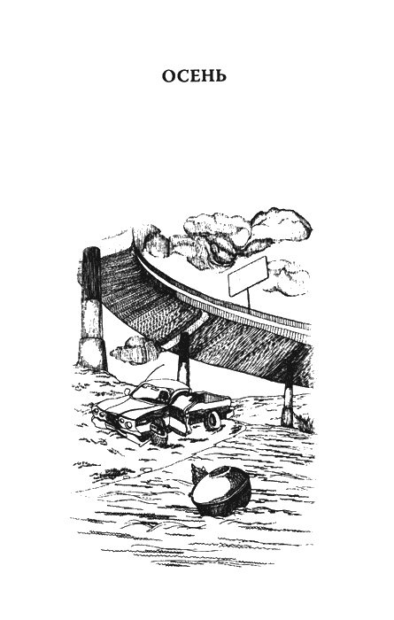 Иллюстрация к книге — Мой верный друг Тэм [img4.jpg]