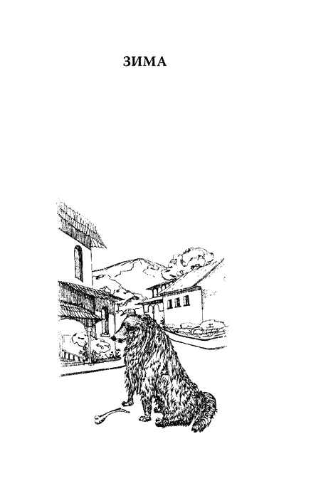 Иллюстрация к книге — Мой верный друг Тэм [img5.jpg]