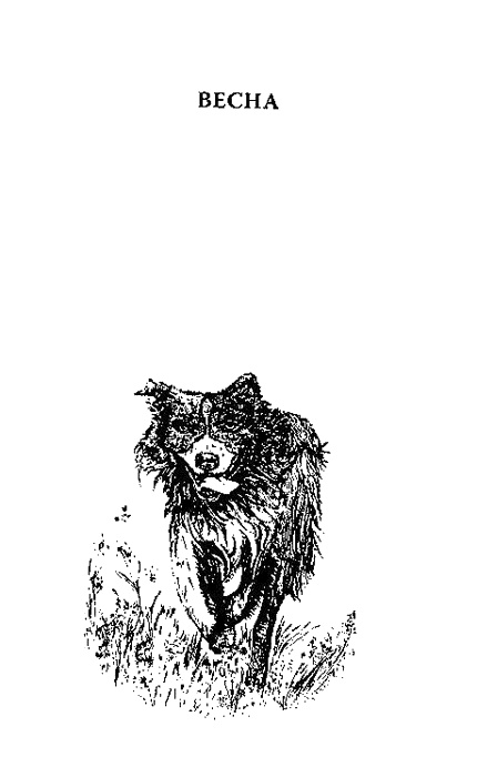 Иллюстрация к книге — Мой верный друг Тэм [img6.jpg]