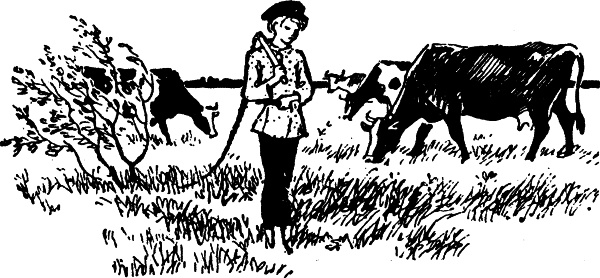 Иллюстрация к книге — Честное слово (сборник) [i_017.jpg]