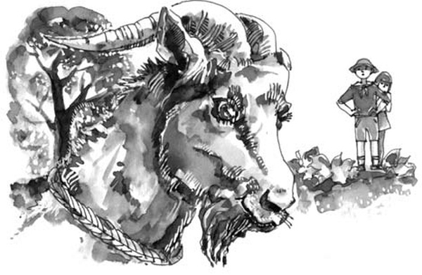 Иллюстрация к книге — На все цвета радуги [i_003.jpg]