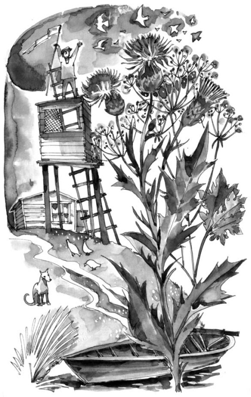 Иллюстрация к книге — На все цвета радуги [i_008.jpg]