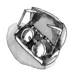 Иллюстрация к книге — На все цвета радуги [i_010.jpg]