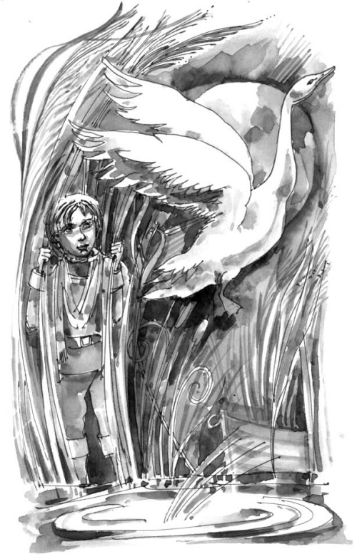 Иллюстрация к книге — На все цвета радуги [i_012.jpg]