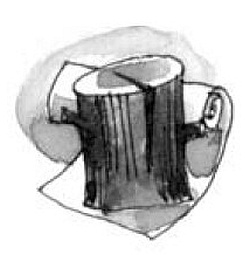 Иллюстрация к книге — На все цвета радуги [i_018.jpg]