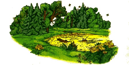 Иллюстрация к книге — Поллианна. Юность Поллианны [img26.jpg]