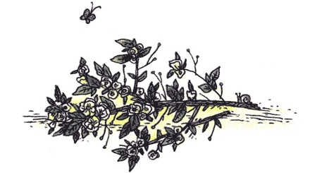 Иллюстрация к книге — Поллианна. Юность Поллианны [img32.jpg]