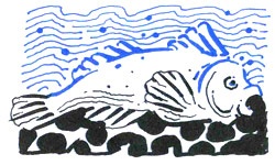 Иллюстрация к книге — Мальчик, который хотел стать человеком [i_019.jpg]