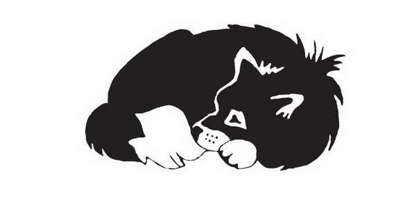 Иллюстрация к книге — Мой друг Сенька [_13.jpg]