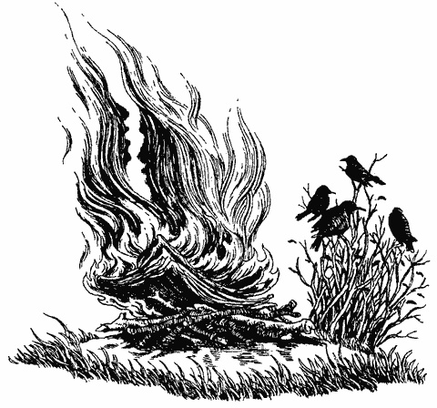 Иллюстрация к книге — Дни поздней осени [img11.jpg]