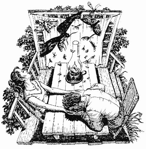 Иллюстрация к книге — Дни поздней осени [img5.jpg]