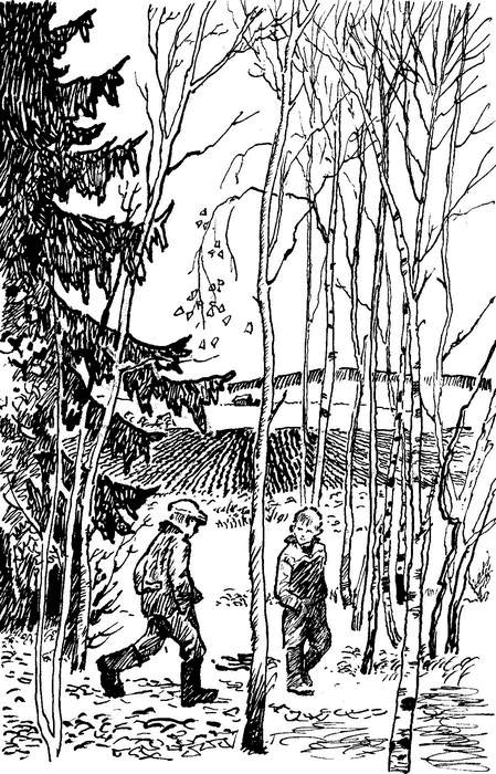 Иллюстрация к книге — Камешки на ладони [i_004.jpg]