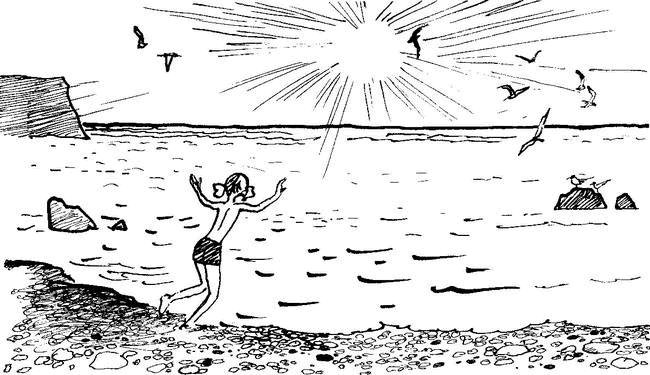 Иллюстрация к книге — Камешки на ладони [i_013.jpg]