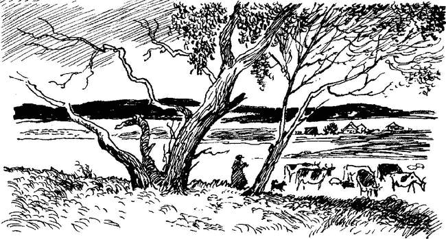 Иллюстрация к книге — Камешки на ладони [i_014.jpg]