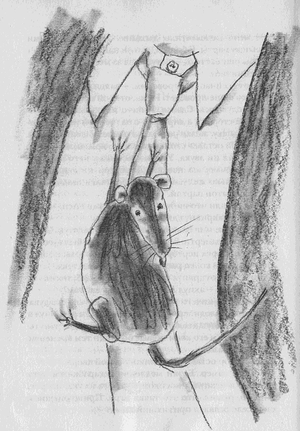 Иллюстрация к книге — Пусть танцуют белые медведи [i_016.jpg]