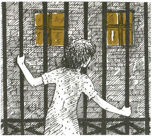 Иллюстрация к книге — Двенадцать человек - не дюжина [i_027.jpg]