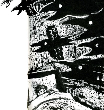 Иллюстрация к книге — Ночные птицы [i_027.jpg]