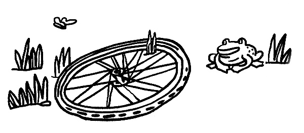 Иллюстрация к книге — Луна с неба [i_004.jpg]