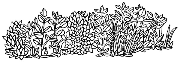 Иллюстрация к книге — Луна с неба [i_030.jpg]