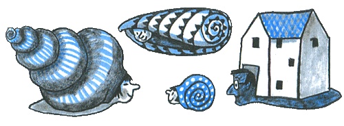 Иллюстрация к книге — Где лежит море? [i_031.jpg]