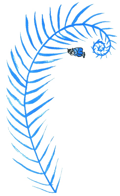 Иллюстрация к книге — Где лежит море? [i_073.jpg]