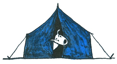 Иллюстрация к книге — Где лежит море? [i_103.jpg]