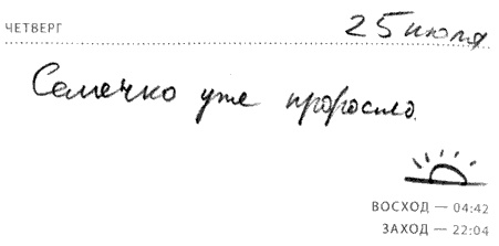 Иллюстрация к книге — Солнце - крутой бог [i_076.jpg]