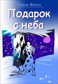 Книга Подарок с неба